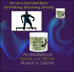 Pferde Balsam mit Teufelskralle und Cannabidiol (CBD) Pferdesalbe - in 2 Größen