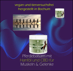 Pferde Balsam mit Teufelskralle und Cannabidiol (CBD) Pferdesalbe - in 2 Größen