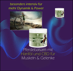 Pferde Balsam mit Teufelskralle und Cannabidiol (CBD) Pferdesalbe - in 2 Größen