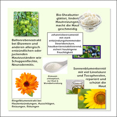 Bio- Ringelblume Salbe - Naturkosmetik - 50ml